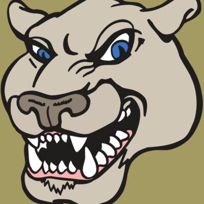 AR5 COUGAR 10 RQC Thumbnail