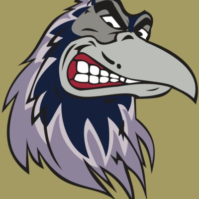 RAVEN HD0504 RQC Thumbnail