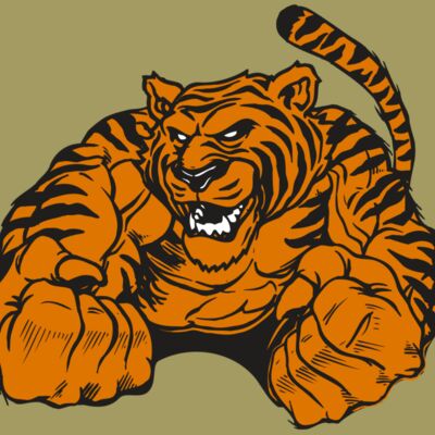 AR TIGER 55 RC Thumbnail