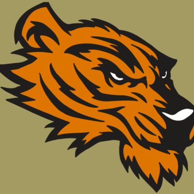 AR5 Tiger 05 RQC Thumbnail