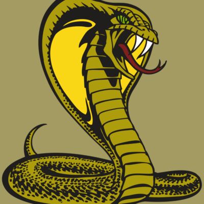 BAW SNAKE 02 RC Thumbnail