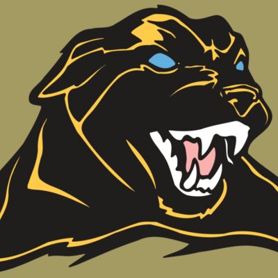 AR COUGAR 42 RC Thumbnail