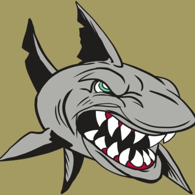 AR4 SHARK 01 RQC Thumbnail