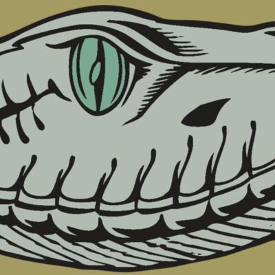 BAW SNAKE 10 RC Thumbnail