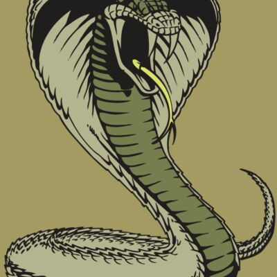 BAW SNAKE 07 RC Thumbnail