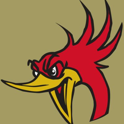 AR31 ROADRUNNER 02 RQC Thumbnail