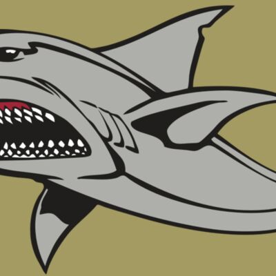 BAW SHARK 03 RC Thumbnail