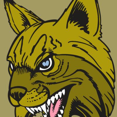 BAW BOBCAT 05 RC Thumbnail