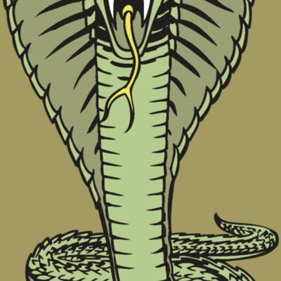 BAW SNAKE 15 RC Thumbnail