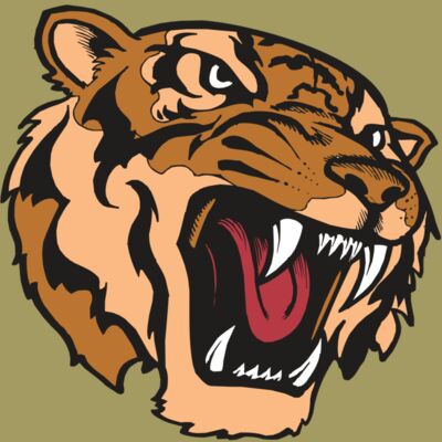 BAW TIGER 07 RC Thumbnail