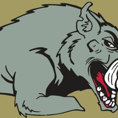 AR RAZORBACK 14 RC Thumbnail