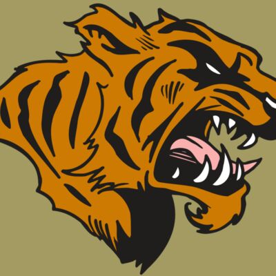 AR5 TIGER 08 RQC Thumbnail