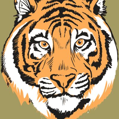 AR9 TIGER HEAD RQC Thumbnail