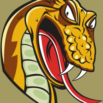 SNAKE HD0502 RQC Thumbnail