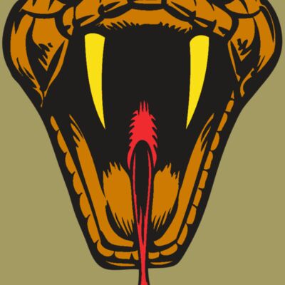 BAW SNAKE 05 RC Thumbnail