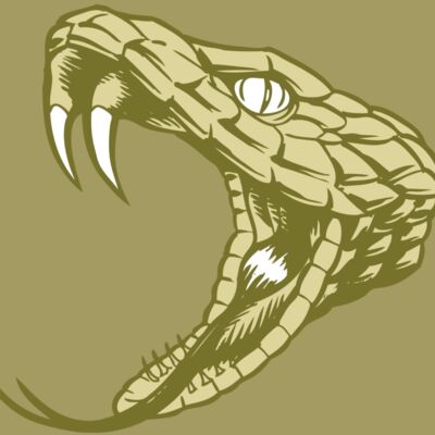 BAW SNAKE 11 RC Thumbnail