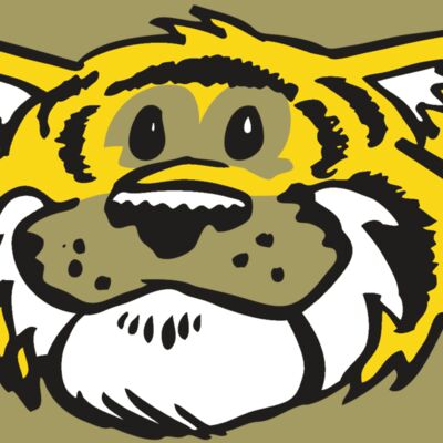 AR TIGER 90 RC Thumbnail