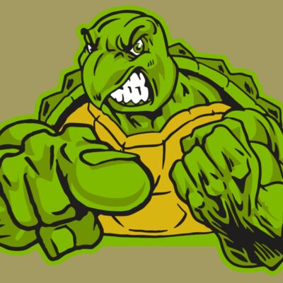 AR31 TURTLE 02 RQC Thumbnail