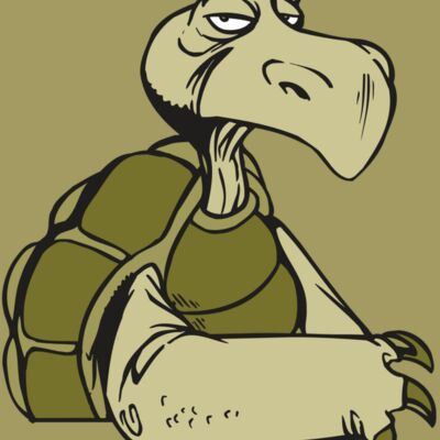 AR5 Turtle 01 RQC Thumbnail