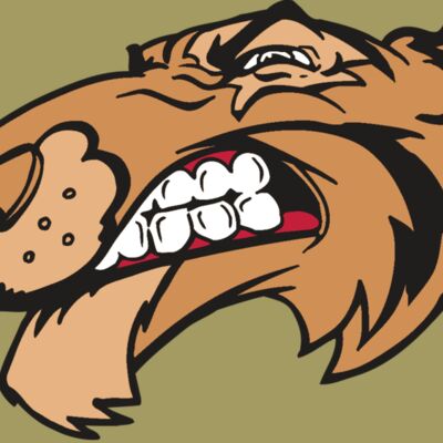 AR5 Tiger 13 RQC Thumbnail