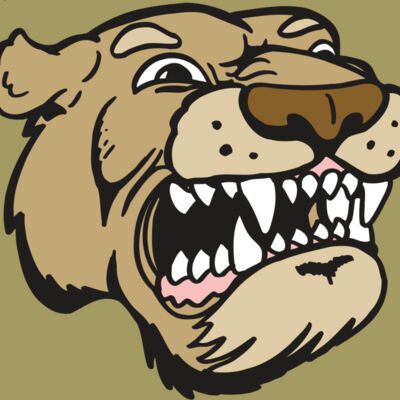 AR5 COUGAR 04 RQC Thumbnail