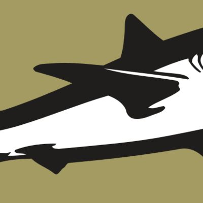 AR5 Shark 15 RQC Thumbnail