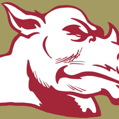 AR5 Rhino 15 RQC Thumbnail