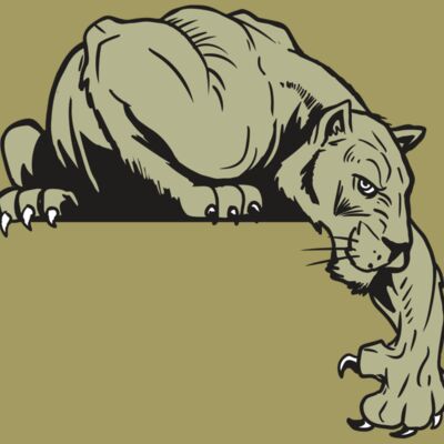 AR10 PANTHER 06 RQC Thumbnail