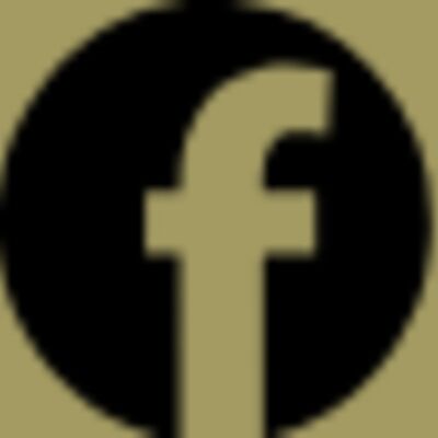 Facebook Logo Thumbnail